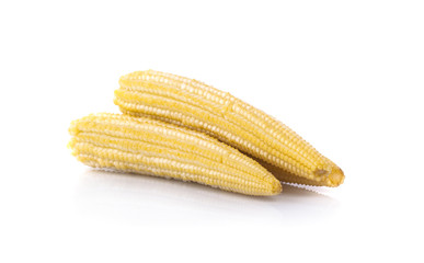 baby corn on a white background