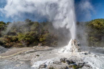 Lady Knox Geyser in Wai-O-Tapu National Park, Rotorua - New Zealand