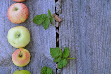 layout on a wooden background, apples, pears, small gravel stones, raspberry leaves