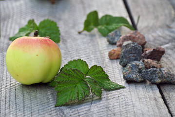 layout on a wooden background, apples, pears, small gravel stones, raspberry leaves