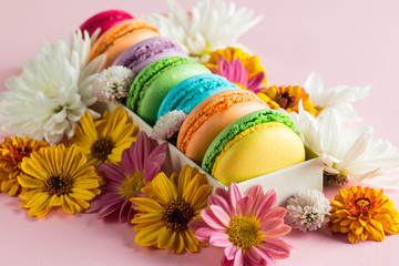 Still life and food photo of cake macarons in a gift box with flowers, a cup of tea on light background. Sweets and desserts concept of macaroons.