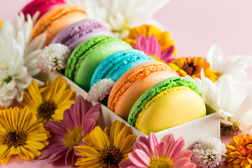 Still life and food photo of cake macarons in a gift box with flowers, a cup of tea on light background. Sweets and desserts concept of macaroons.