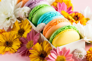Still life and food photo of cake macarons in a gift box with flowers, a cup of tea on light background. Sweets and desserts concept of macaroons.
