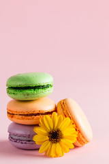 Still life and food photo of cake macarons in a gift box with flowers, a cup of tea on light background. Sweets and desserts concept of macaroons.