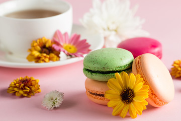 Obraz na płótnie Canvas Still life and food photo of cake macarons in a gift box with flowers, a cup of tea on light background. Sweets and desserts concept of macaroons.