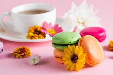 Fototapeta na wymiar Still life and food photo of cake macarons in a gift box with flowers, a cup of tea on light background. Sweets and desserts concept of macaroons.