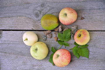 Naklejka na ściany i meble layout on a wooden background, apples, pears, small gravel stones, raspberry leaves