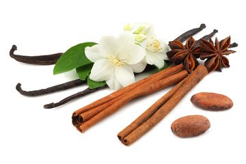 Vanilla sticks with white flower isolated on white background