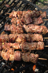 Closeup of pork skewers on the BBQ