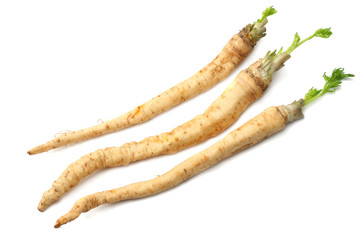 fresh parsley root isolated on white background