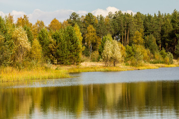 Fototapeta na wymiar beautiful autumn landscape on a warm day