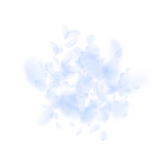 Light blue flower petals falling down. 