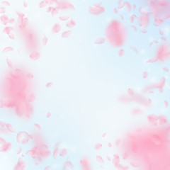 Sakura petals falling down. Romantic pink flowers