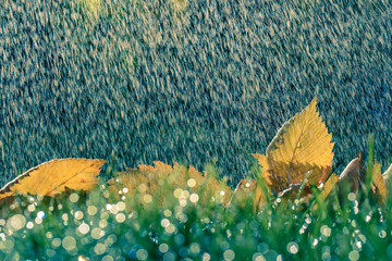 Goldener Herbst mit bunten Blättern und Regenschauer Sonnenlicht
