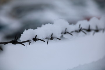 barbed wire fence on winter time backgruond white snow