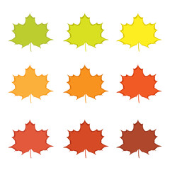 Fall Leaves of various colors and shades