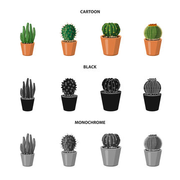 Vector design of cactus and pot symbol. Collection of cactus and cacti stock symbol for web. © Svitlana