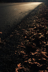 Carretera al atardecer en otoño