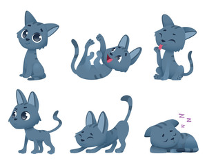 Cute baby cats. Funny little domestic animals toy kitten vector cartoon characters in various poses. Illustration of cat animal, kitten pet domestic © ONYXprj