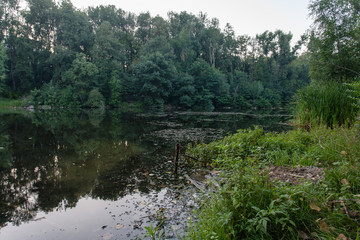 Fototapeta na wymiar Summer landscape with lake