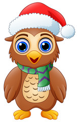 Cartoon owl wearing santa hat
