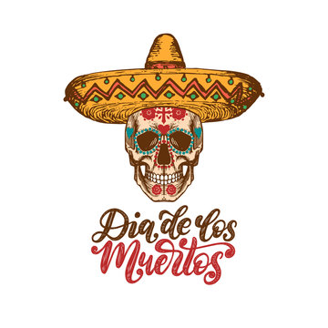 Dia De Los Muertos translated from Spanish Day of the Dead handwritten phrase. Vector illustration of skull in sombrero.
