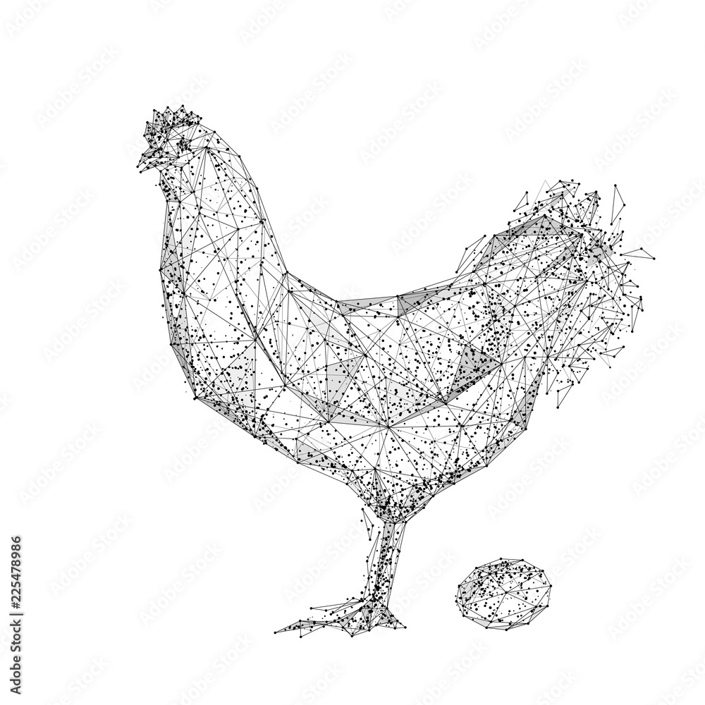 Poster Chicken and Egg. Isolated black vector illustration in low-poly style on a white background. The drawing consists of thin lines and dots. Polygonal image on topics of animals or food. Low poly EPS.