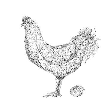 Chicken and Egg. Isolated black vector illustration in low-poly style on a white background. The drawing consists of thin lines and dots. Polygonal image on topics of animals or food. Low poly EPS.