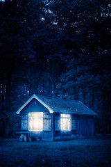 Cabin in forest at night.