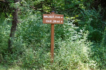 The wood trail sign in the weeds on the trail of forest.