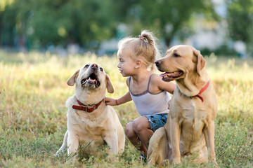 Little blonde girl playing with two labradors in the park.