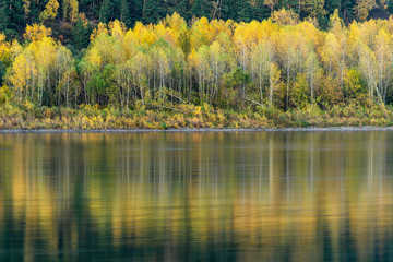picturesque view of autumn colorful forest on shore reflecting on lake surface 
