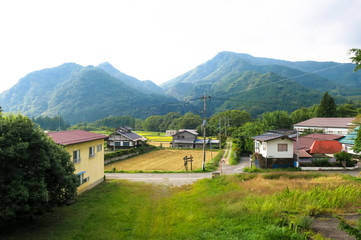 Fototapeta premium suburban