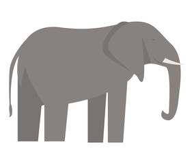Elephant icon. Flat illustration of elephant vector icon for web design