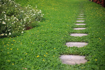 Pathway in the garden of house with stepping stones in the lawn. 
