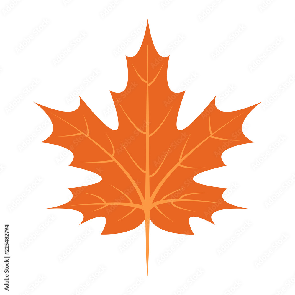 Wall mural maple leaf icon. flat illustration of maple leaf vector icon for web design