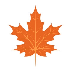 Maple leaf icon. Flat illustration of maple leaf vector icon for web design