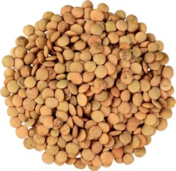 Lentils - Isolated