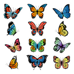 Fototapeta na wymiar Various cartoon butterflies. Set vector illustrations of butterflies. Colored butterfly insect, various natural bright wildlife