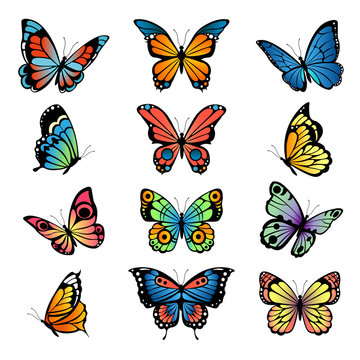 Various cartoon butterflies. Set vector illustrations of butterflies. Colored butterfly insect, various natural bright wildlife