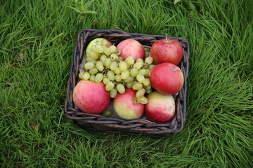 red apples in a basket
