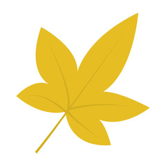 Chestnut leaf icon. Flat illustration of chestnut leaf vector icon for web design