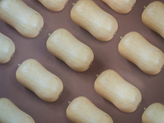 Butternut pumpkin pattern