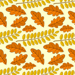 Obraz premium Seamless pattern with oak and acacia autumn leaves. Vector illustration.