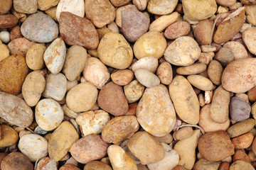 Rock on the floor texture using as background