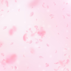 Obraz na płótnie Canvas Sakura petals falling down. Romantic pink flowers explosion. Flying petals on pink square background