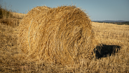 Closeup view of huge bale of straw at summer