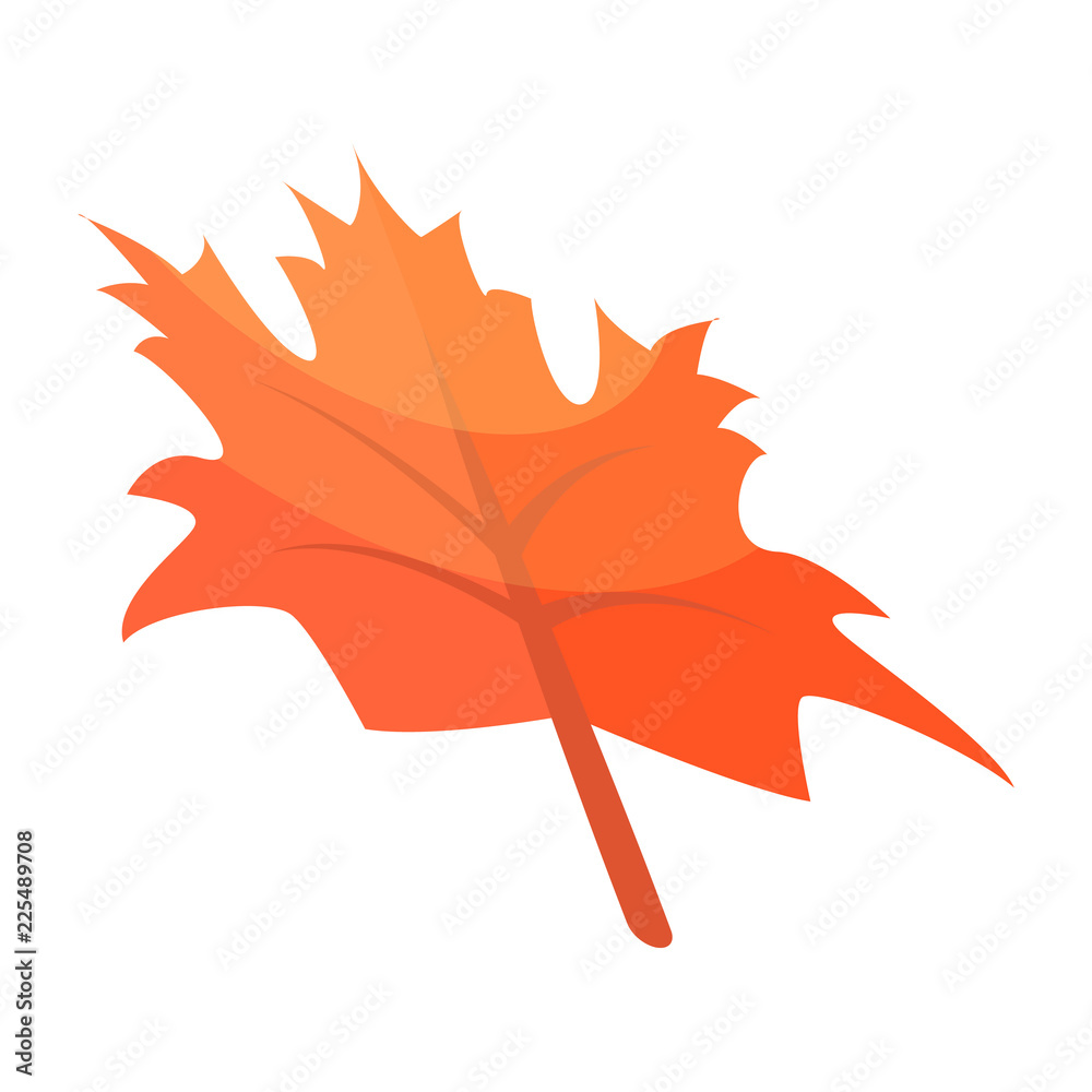 Wall mural autumn maple leaf icon. isometric of autumn maple leaf vector icon for web design isolated on white 