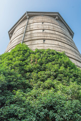 Alter Turm mit Fassadenbegr&uuml;nung aus der Froschperspektive