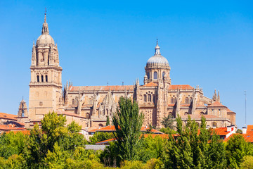 Fototapeta na wymiar Salamanca Cathedral in Salamanca, Spain